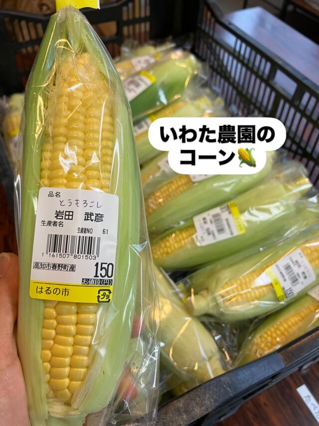作業を請け負っている春野の
『いわた農園さん』のハウスで
とうもろこし採れました🌽🌽
🤩😁
お初です〜❤️

皆んな大好きなので、職員も利用者さんもたくさん買っていましたよ！

#とうもろこし
#春野野菜手作りお弁当のユウアンドアイ 
#高知市
#いわた農園
#就労継続支援 
#就労継続支援b型
